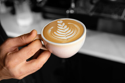 ¡Olvídate de De’Longhi y Phillips! Descubre la cafetera profesional low cost que tu cocina necesita urgente