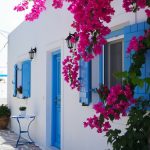 ¡Olvídate de las plantas este verano! Esta maceta se encarga de todo, incluso cuando estés de vacaciones