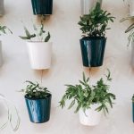 ¡Olvídate de regar tus plantas! Esta maceta hará todo el trabajo por ti y tu jardín estará impecable ¡por mucho más tiempo!