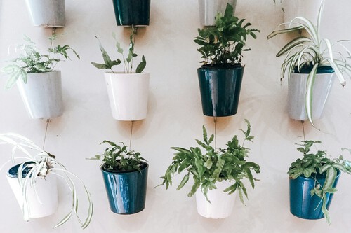 ¡Olvídate de regar tus plantas! Esta maceta hará todo el trabajo por ti y tu jardín estará impecable ¡por mucho más tiempo!