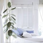 «¡No podrás creer estos 7 imprescindibles que están arrasando en las casas modernas y minimalistas!»