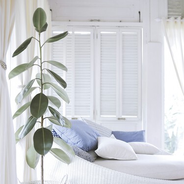 «¡No podrás creer estos 7 imprescindibles que están arrasando en las casas modernas y minimalistas!»