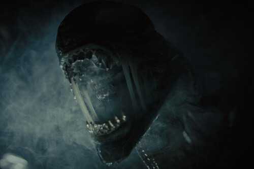 ¡No te pierdas ‘Alien: Romulus’! Descubre DÓNDE y CUÁNDO ver la aterradora película de terror que trae de vuelta al Xenomorfo.