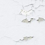 ¡Despídete de la humedad en tu casa con estas bolsas (casi) mágicas de Amazon!