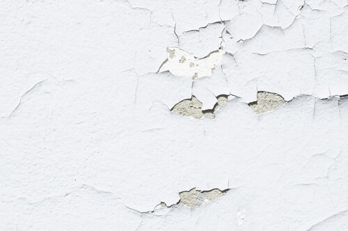 ¡Despídete de la humedad en tu casa con estas bolsas (casi) mágicas de Amazon!