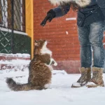 ¡Descubre la increíble solución para eliminar las corrientes de aire frío en casa y ahorrar una fortuna en calefacción!