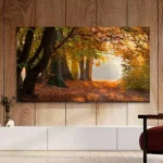 ¡Esta tele de 65 pulgadas está a precio de Black Friday y es el chollo del año! ¡No te lo puedes perder!