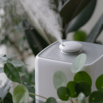 ¡Tu casa olerá tan bien que todos te preguntarán el secreto! Descubre estos humidificadores mágicos