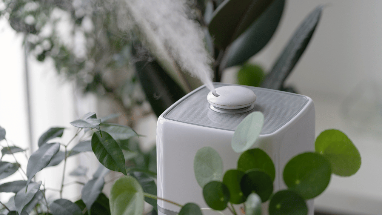 ¡Tu casa olerá tan bien que todos te preguntarán el secreto! Descubre estos humidificadores mágicos
