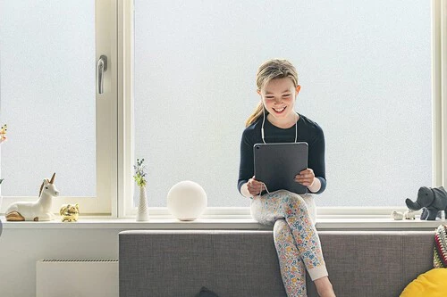 ¡Descubre la asombrosa solución de Leroy Merlín, IKEA y Amazon para resolver el GRAN problema de privacidad de vivir en un bajo!