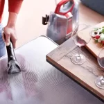 ¡No creerás lo que este gadget puede hacer para eliminar el pelo y las manchas de tus cachorros!