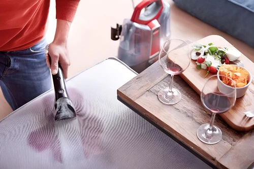 ¡No creerás lo que este gadget puede hacer para eliminar el pelo y las manchas de tus cachorros!