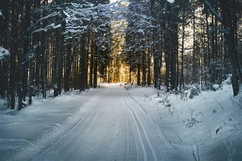 ¡Increíble! Solo 3 minutos y olvídate del frío polar estas Navidades con este gadget secreto