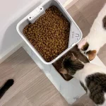 ¡No volverás a correr a casa por tus mascotas gracias a este inventazo de Xiaomi!