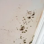 ¡Este increíble gadget elimina la humedad de tu casa sin hacer ni una sola obra!