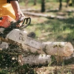 ¡Oferta loca! Motosierra Oregon con espada y cadena a precio de outlet para tu jardín