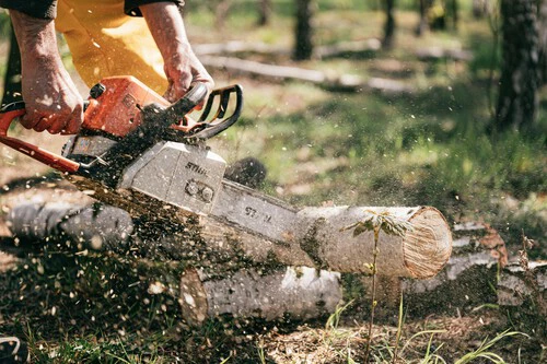 ¡Oferta loca! Motosierra Oregon con espada y cadena a precio de outlet para tu jardín