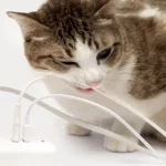 ¡Descubre el truco secreto para tener todos tus cables organizados sin instalar nada!