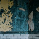 ¡No vas a creer cómo este deshumidificador con 5000 valoraciones está revolucionando las casas!