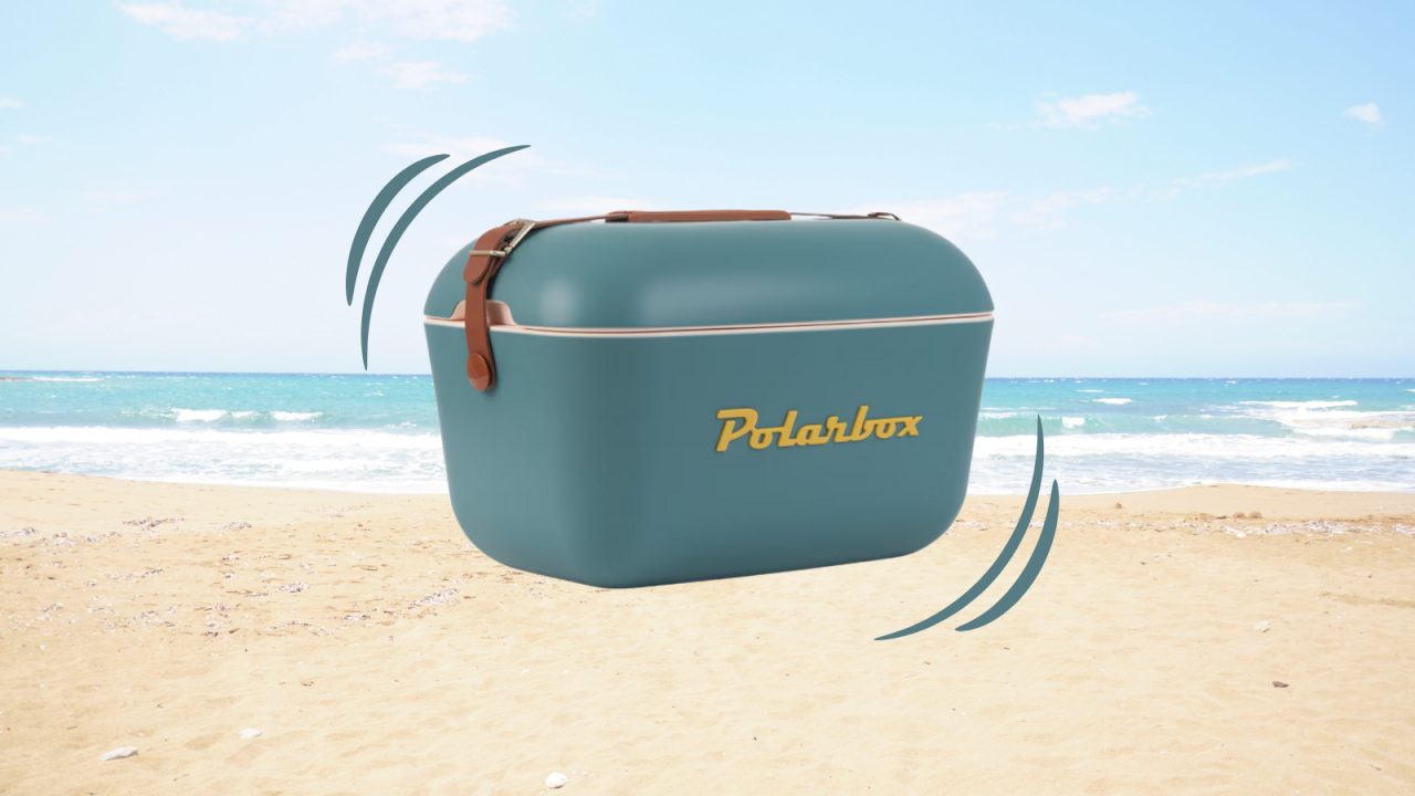 ¡La nevera que todos quieren este verano: descubre por qué la Polarbox arrasa en ventas!