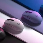 Compré un ratón para jugar y no vas a creer lo que pasó después…