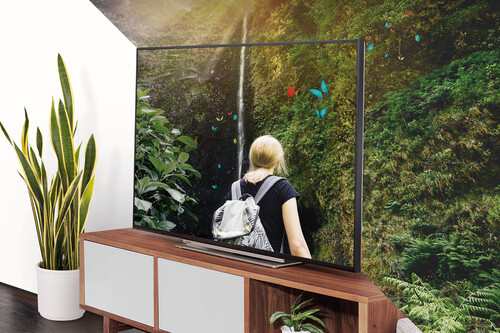 ¡Este televisor tiene 65 pulgadas, Alexa y Fire TV, pero su precio es lo que te va a dejar sin palabras!