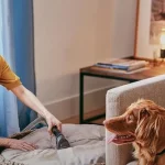 ¡Redescubre el amor por tu mascota con esta aspiradora que lo cambia TODO — y se acaba YA!