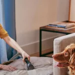 ¡No vas a creer cómo esta aspiradora con agua revoluciona la limpieza para dueños de mascotas!
