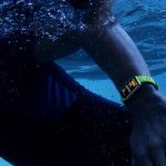 ¡La nueva pulsera de Huawei cae de precio y deja en ridículo a su modelo anterior por solo 2 euros más!