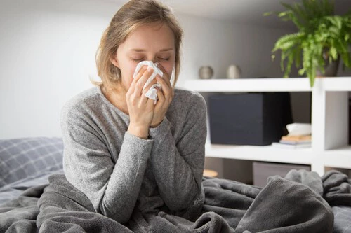 ¡No creerás cómo este dispositivo elimina las alergias y la humedad de tu casa!