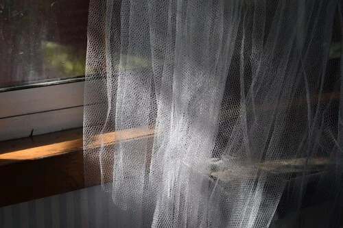 ¡La increíble solución anti-mosquitos que nadie te contó y cuesta menos de 20 euros!