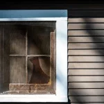 ¡Descubre la mosquitera para ventanas que elimina los mosquitos SIN hacer obras!