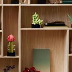 La planta de LEGO que hasta tu amiga mata-cactus va a amar 💀🌵