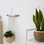 ¡Estas macetas colgantes transformarán tu piso esta primavera-verano y no podrás creer lo bonitas que son!