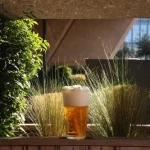 ¡Este tirador de cerveza te hará sentir en el bar sin salir de casa este verano!