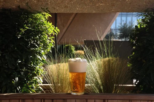 ¡Este tirador de cerveza te hará sentir en el bar sin salir de casa este verano!