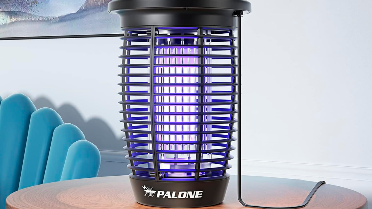 ¡Descubre las lámparas antimosquitos que la OCU quiere que uses YA para olvidarte de los químicos!