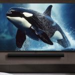 ¡Batalla de tablets! Fire HD 8 vs Fire HD 10: ¿Cuál es tu ganadora en 2025?